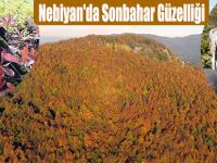 Nebiyan'da Sonbahar Güzelliği