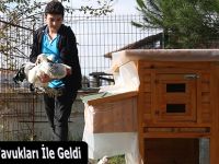 Okula Tavukları İle Geldi