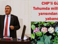 Tohumda milli çeşidin yarısından çoğu yabancı!