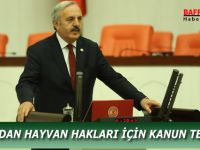 Hayvanlar, “mal” ya da “eşya” değildir!