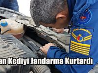 Sıkışan Kediyi Jandarma Kurtardı