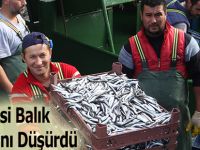 Hamsi Balık Fiyatlarını Düşürdü