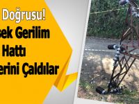 Pes Doğrusu! Yüksek Gerilim Hattı Direklerini Çaldılar