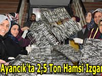 Ayancık'ta 2,5 Ton Hamsi Izgara Yapıldı