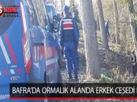 BAFRA’DA ORMALIK ALANDA ERKEK CESEDİ BULUNDU