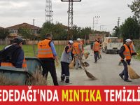 DEDEDAĞI'NDA MINTIKA TEMİZLİĞİ
