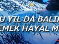 HAMSİLER ERKEN GÖÇ MÜ EDECEK?