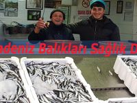 Karadeniz Balıkları Sağlık Deposu