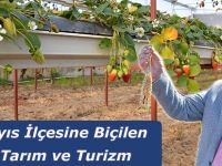19 Mayıs İlçesine Biçilen Rol Tarım ve Turizm