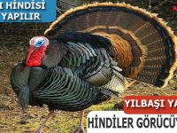 Yılbaşı Yaklaştı, Hindi Piyasası Hareketlendi