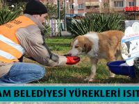 ALAÇAM BELEDİYESİ YÜREKLERİ ISITTI