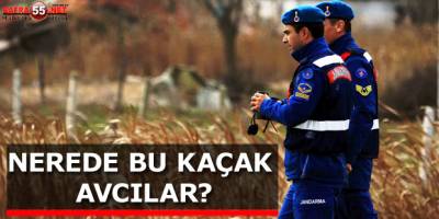 Kuş cennetinde "ördek katliamı" yapan avcılar aranıyor