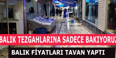 BALIK FİYATLARI UÇTU