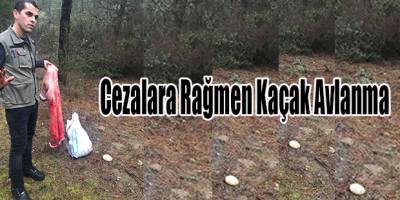 Cezalara Rağmen Kaçak Avlanma
