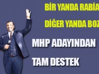 BİR YANDA RABİA BİR YANDA BOZKURT