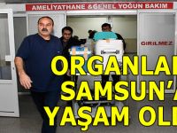 ORGANLARI SAMSUN’A YAŞAM OLDU