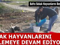 BAFRA BESLEME GRUBU, SOKAK HAYVANLARINI BESLEMEYE DEVAM EDİYOR