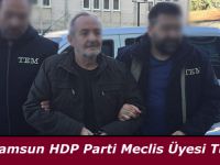 Samsun HDP Parti Meclis Üyesi Tutuklandı