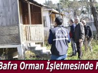 Bafra Orman İşletmesini Soydular