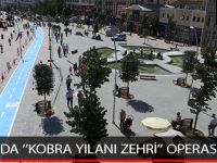 BOLU’DA ’’KOBRA YILANI ZEHRİ’’ OPERASYONU