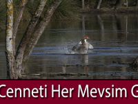 Kuş Cenneti Her Mevsim Güzel