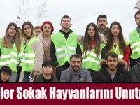 Gönüllüler Sokak Hayvanlarını Unutmuyorlar
