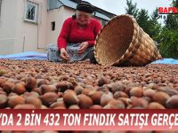 BAFRA’DA 2 BİN 432 TON FINDIK SATIŞI GERÇEKLEŞTİ