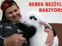 EVDE BAKTIKLARI KUZUYU BEBEK BEZİYLE BAKIYORLAR