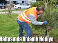 Orman Haftasında Anlamlı Hediye