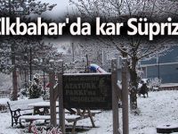 İlkbahar'da kar Süprizi
