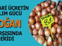 NİSAN AYININ ZAM ŞAMPİYONU SOĞAN OLDU