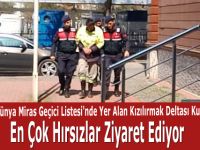 Kızılırmak Deltası Kuş Cenneti'nde Hırsızlar Suç üstü Yakalandı