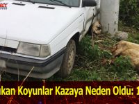 Samsun'da Yola Çıkan Koyunlar Kazaya Neden Oldu: 1 Yaralı