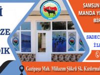 Samsun İli Damızlık Manda Birliği Bafra Şubesi Yeni Yerinde!