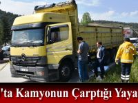 Sinop'ta Kamyonun Çarptığı Yaya Öldü