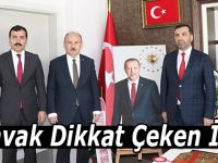 Kavak Dikkat Çeken İlçe