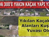 Deltada Yıkılan Kaçak Villa Alanları Kuşların Yuvası Oldu