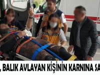 ZIPKIN, BALIK AVLAYAN KİŞİNİN KARNINA SAPLANDI