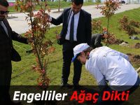 Engelliler Ağaç Dikti