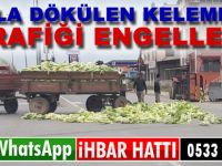 Yola Dökülen Marullar Trafiği Engelledi