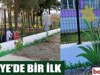 Türkiye'de Bir İlk Bafra'da Gerçekleşti