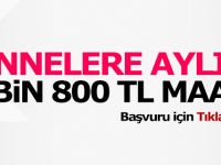 Annelere aylık 2 bin 800 TL maaş! Başvuru için Tıklayınız