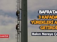 Bafra'da 3 Kafadar Bakın Nereye Çıktı