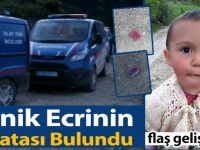 Minik Ecrinin Kafatası Bulundu