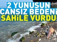 2 Yunusun cansız bedeni sahile vurdu