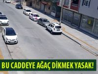 BAFRA'DA BAZI SOKAKLARDA TEK BİR AĞAÇ BİLE YOK