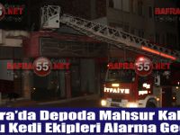 Bafra’da Depoda Mahsur Kalan Yavru Kedi Ekipleri Alarma Geçirdi