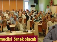 Atakum meclisi örnek olacak