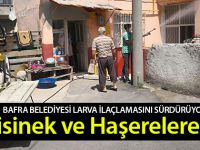 Bafra Belediyesi Larva İlaçlamasını Sürdürüyor