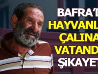 Bafra'da Hayvanları Çalınan Vatandaş Sikayetçi